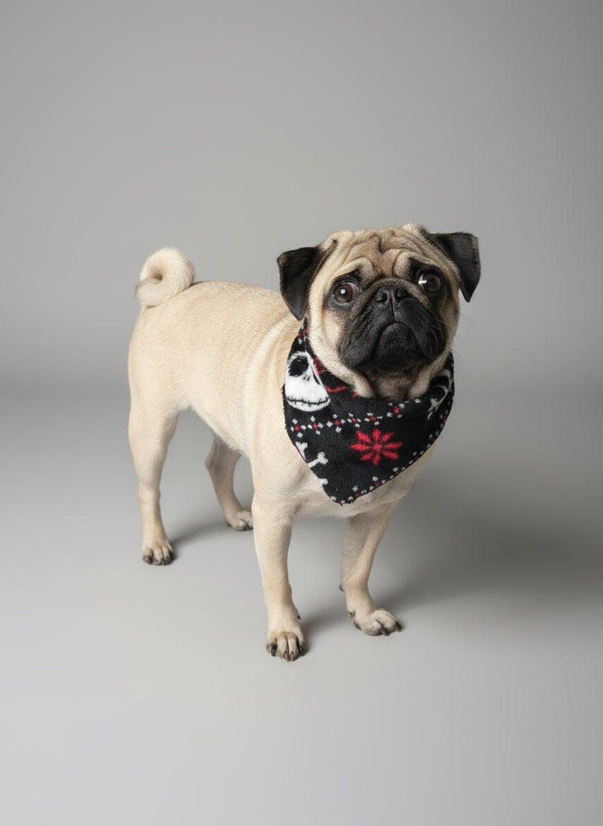 Nightmare Before Xmas dog or cat scarf / Bandana