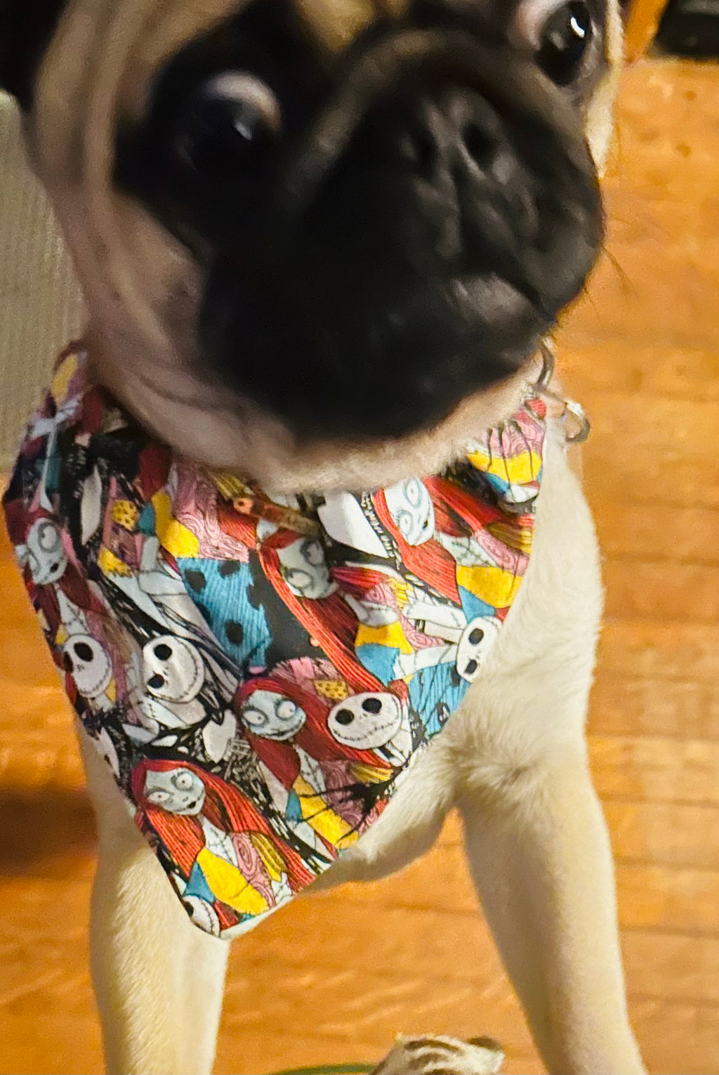 Nightmare Before Xmas Dog and Cat Scarf