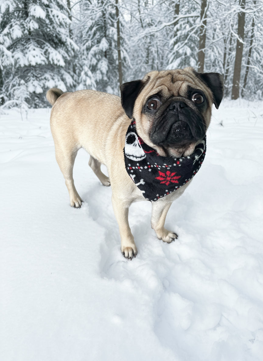 Nightmare Before Xmas dog or cat scarf / Bandana